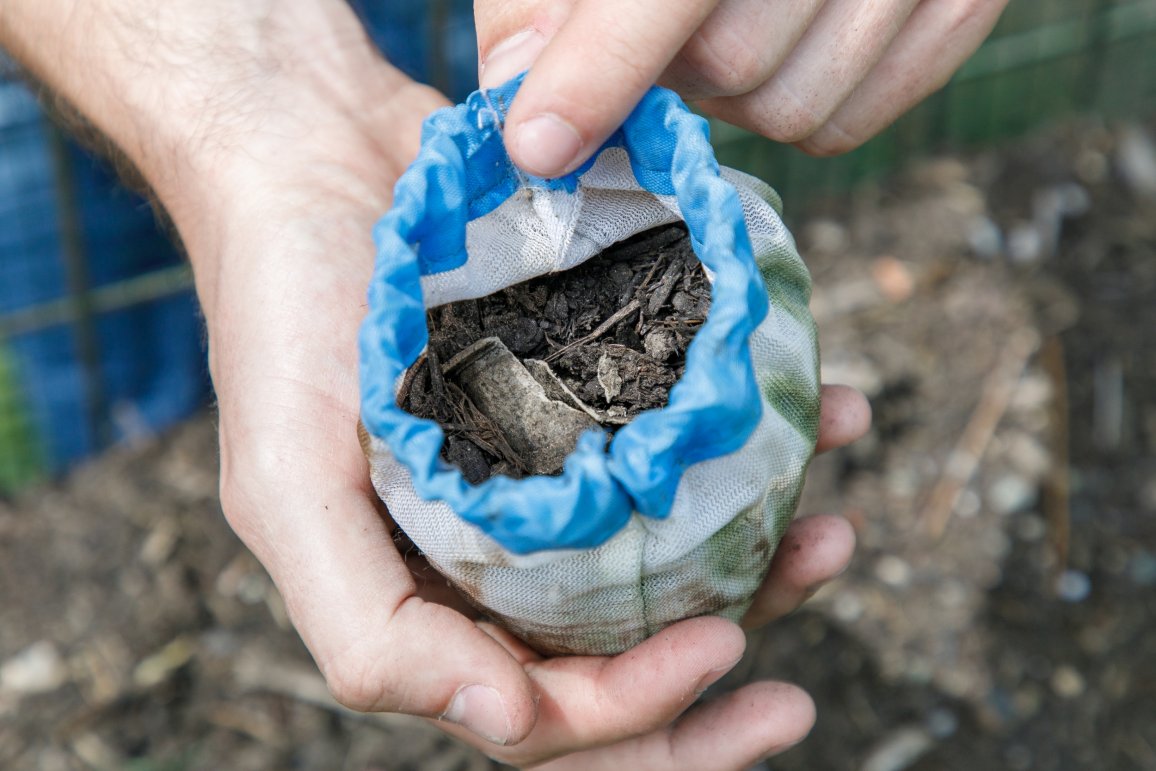 Biodegradable Materials Learning From Nature ALPLA Blog